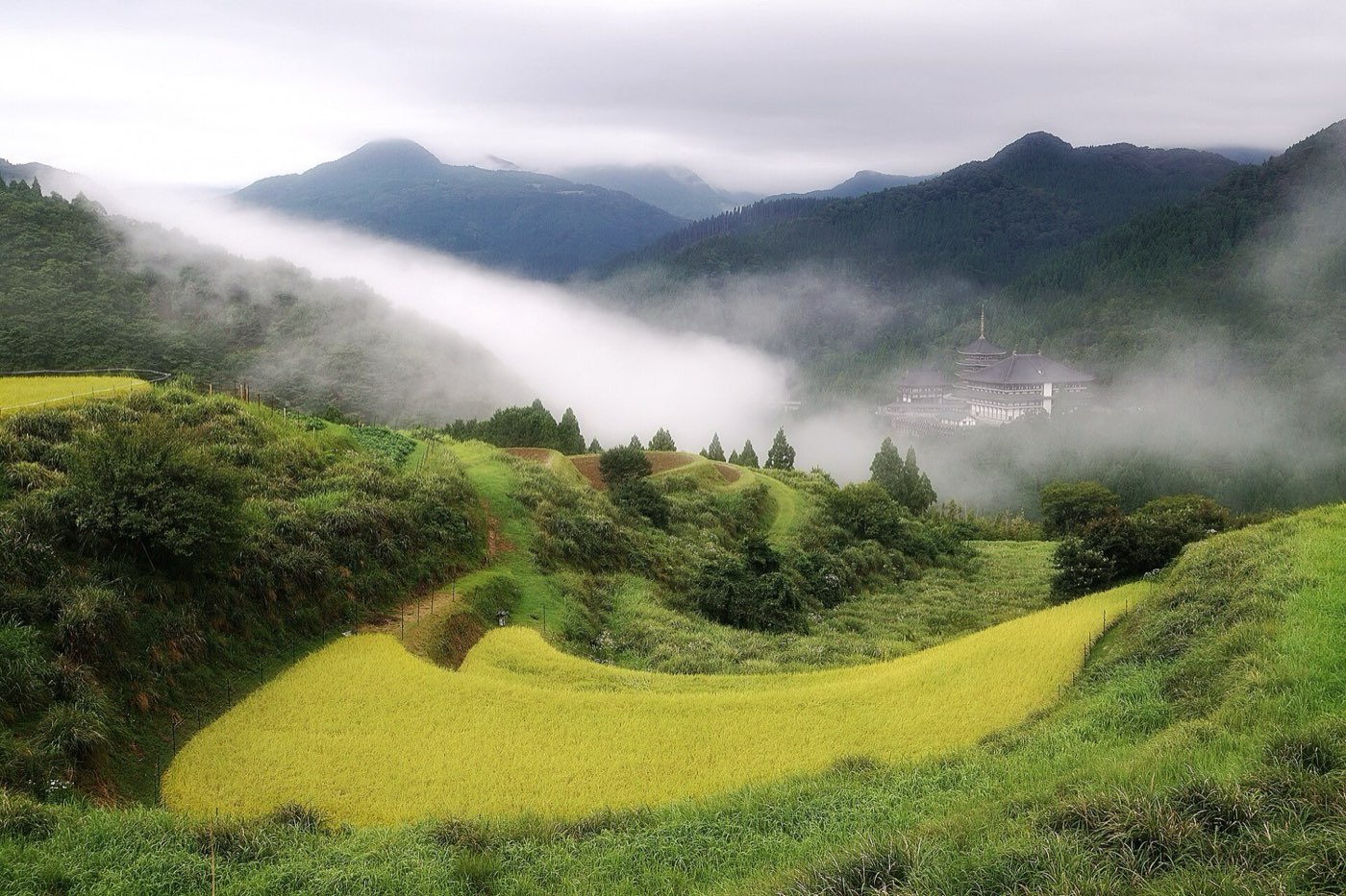 兵庫県内の棚田と里山。市街地から農地・山林まで対応します。